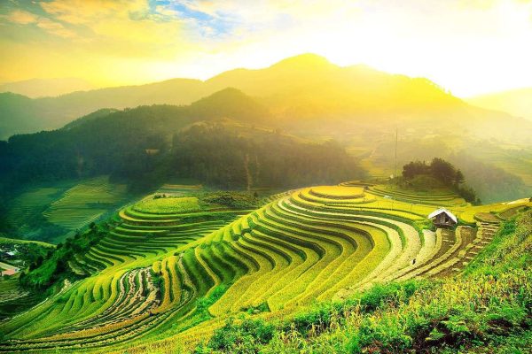 Tour hot tháng 8