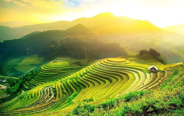 TOUR TÀU HỎA 4N3Đ: ĐÀ NẴNG - HỘI AN - BÀ NÀ HILLS - NGŨ HÀNH SƠN - Hình ảnh 2