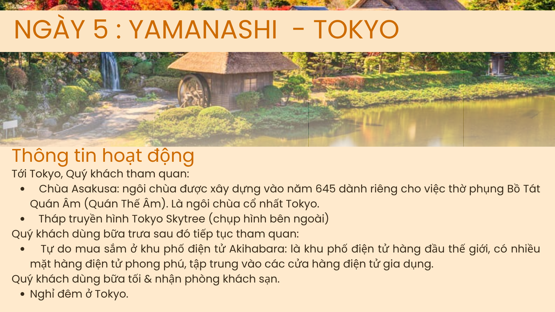 OSAKA - KOBE - YAMASHI - AICHI - TOKYO-DISNEYLAND-7N6Đ-9